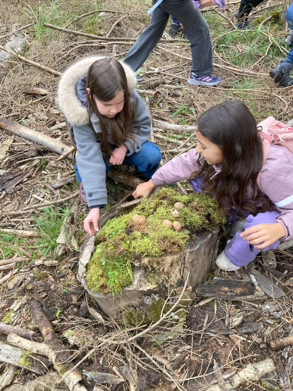 2025: Heimische Vielfalt - Streifzüge durch unsere Natur