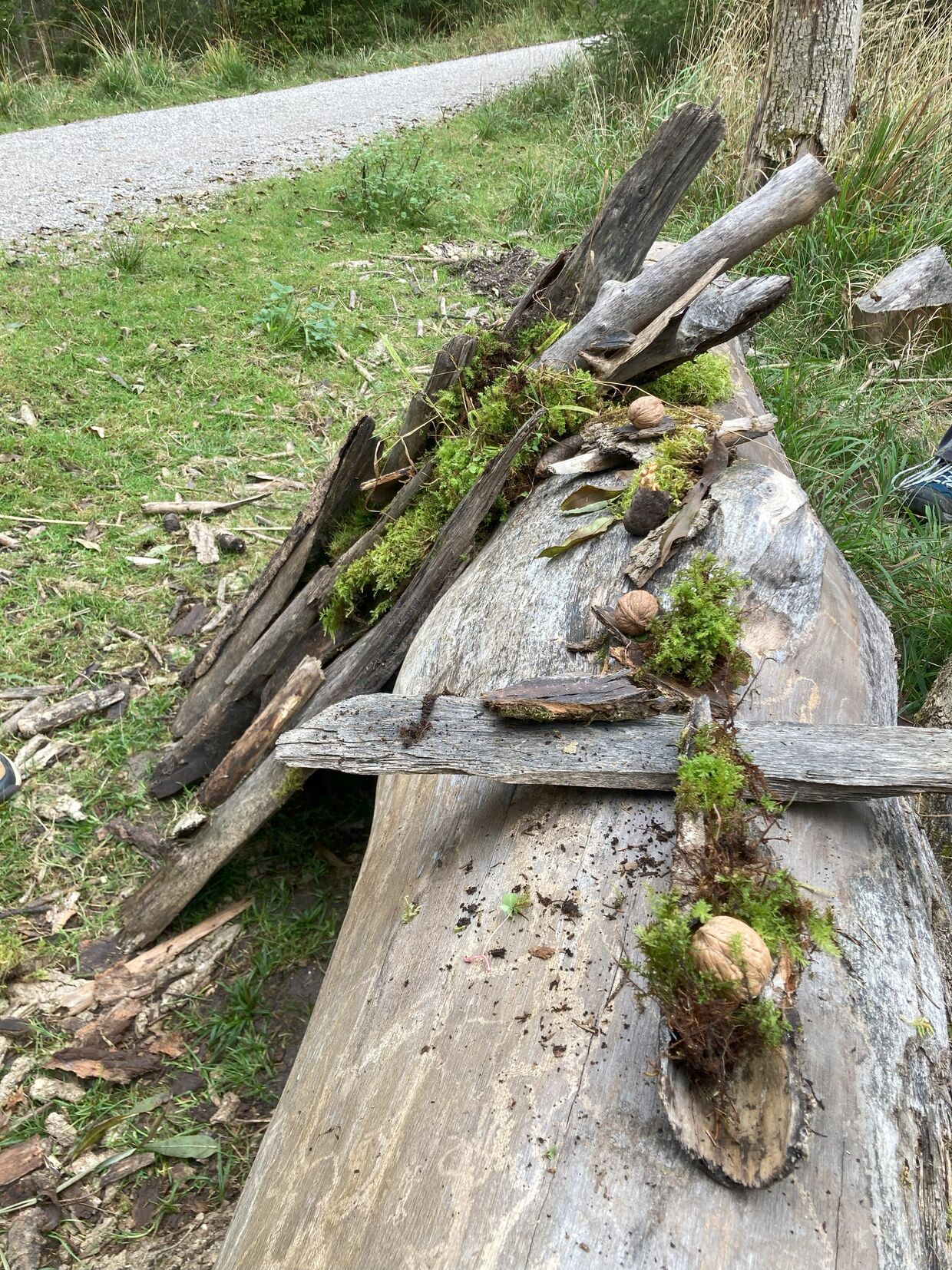 2025: Heimische Vielfalt - Streifzüge durch unsere Natur