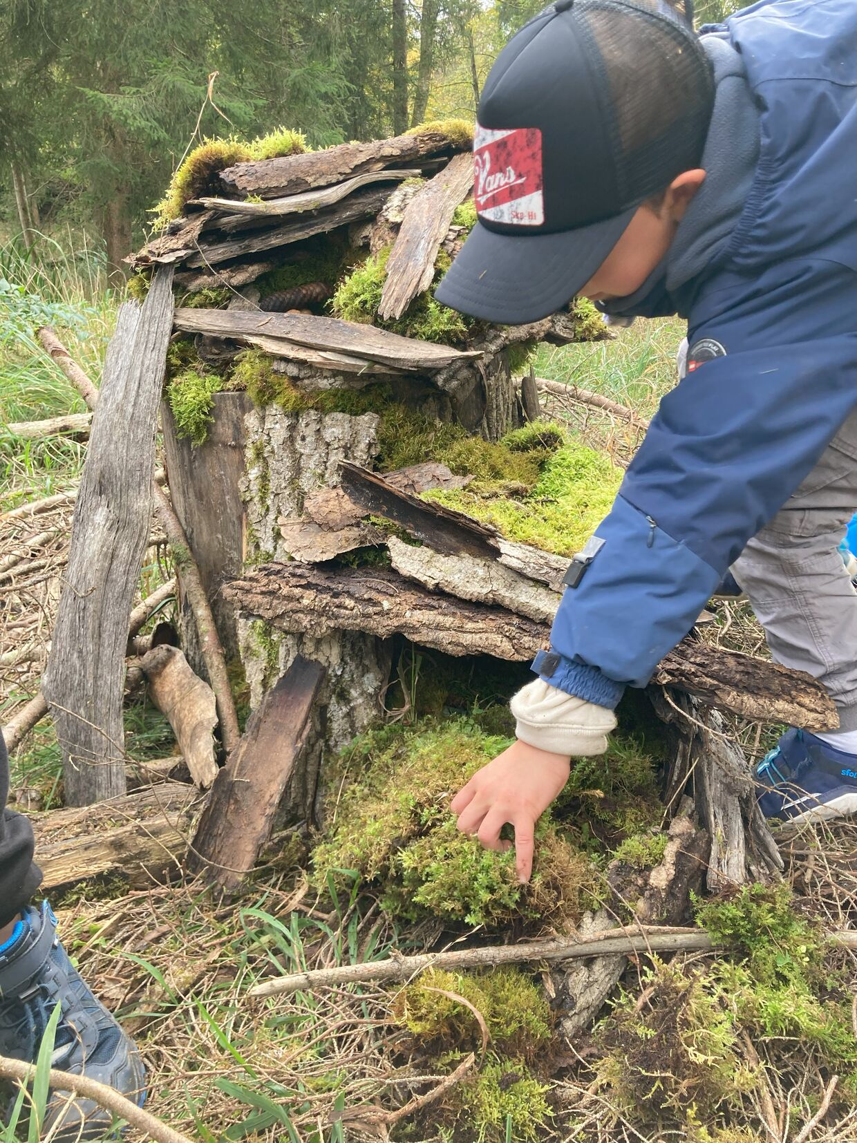 2025: Heimische Vielfalt - Streifzüge durch unsere Natur