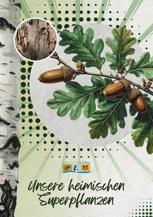 Spannendes und Informatives zu unseren heimischen Superpflanzen !!!