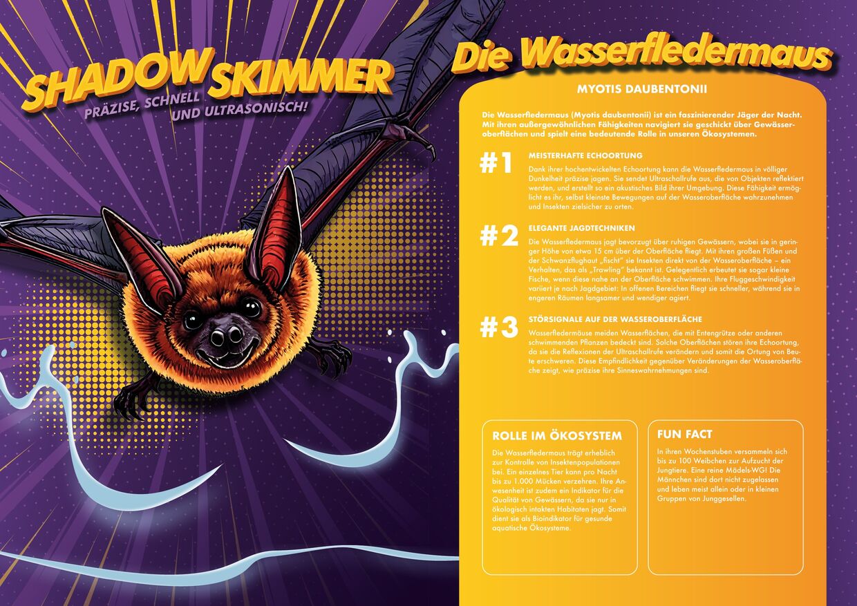 Der Shadow Skimmer - präzise, schnell und ultrasonisch