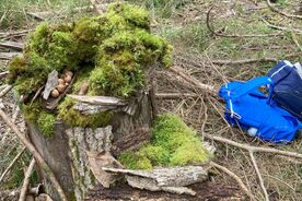 2025: Heimische Vielfalt - Streifzüge durch unsere Natur