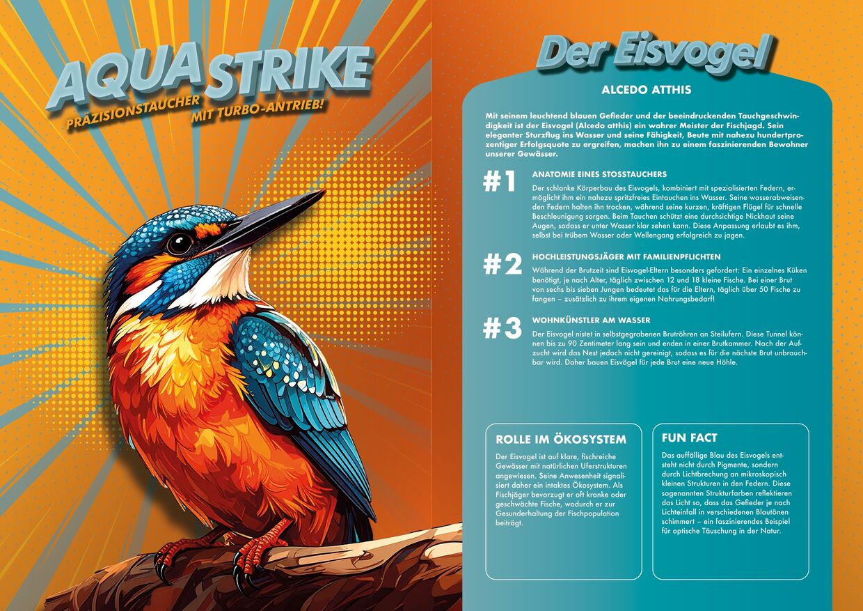 Der Aqua Strike - ein Präzisionstaucher mit Turbo-Antrieb