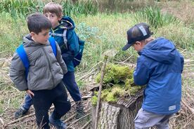 2025: Heimische Vielfalt - Streifzüge durch unsere Natur