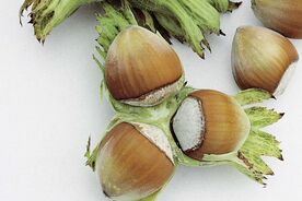 Faszination heimische Gehölze