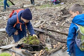 2025: Heimische Vielfalt - Streifzüge durch unsere Natur