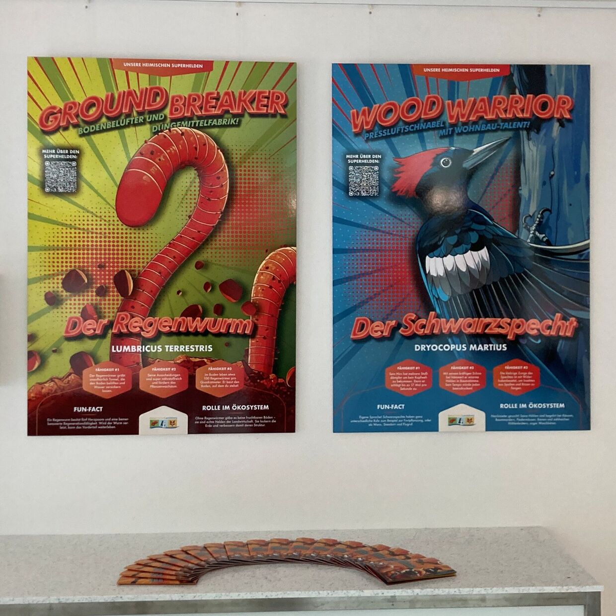 2025: Heimische Vielfalt - Streifzüge durch unsere Natur