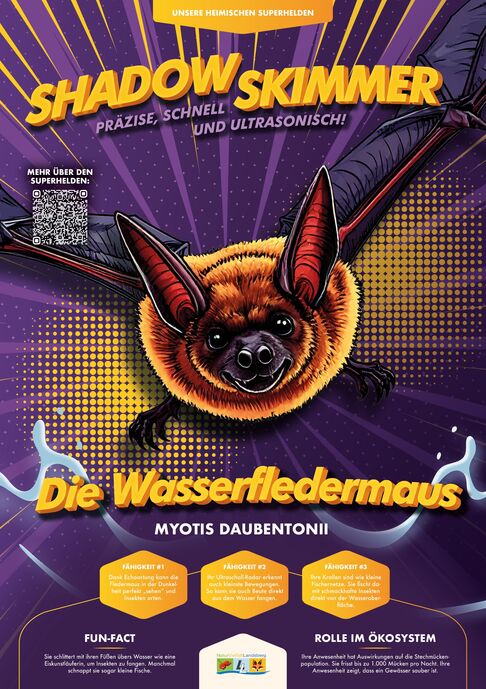 Der Shadow Skimmer - präzise, schnell und ultrasonisch