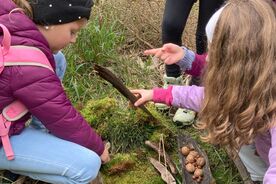 2025: Heimische Vielfalt - Streifzüge durch unsere Natur